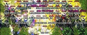 �����ֻ�������ֵ�ʿ˫����