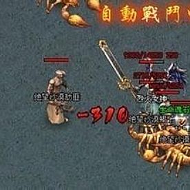 晶巫说道的黑野猪回城卷帮助